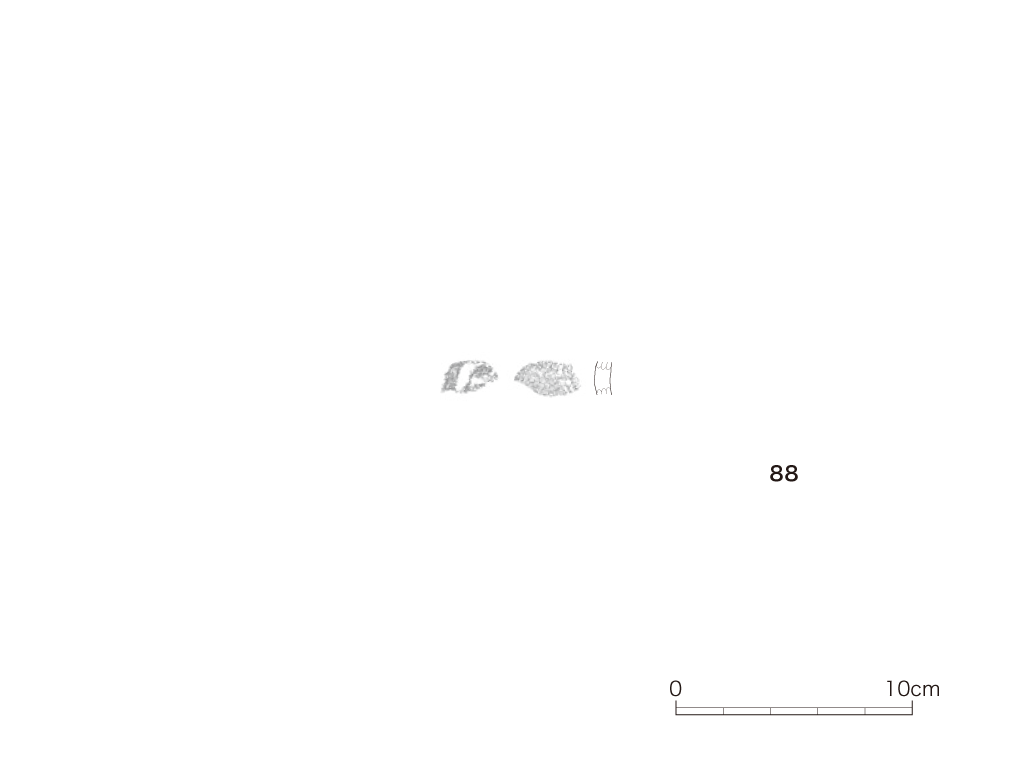 図版画像