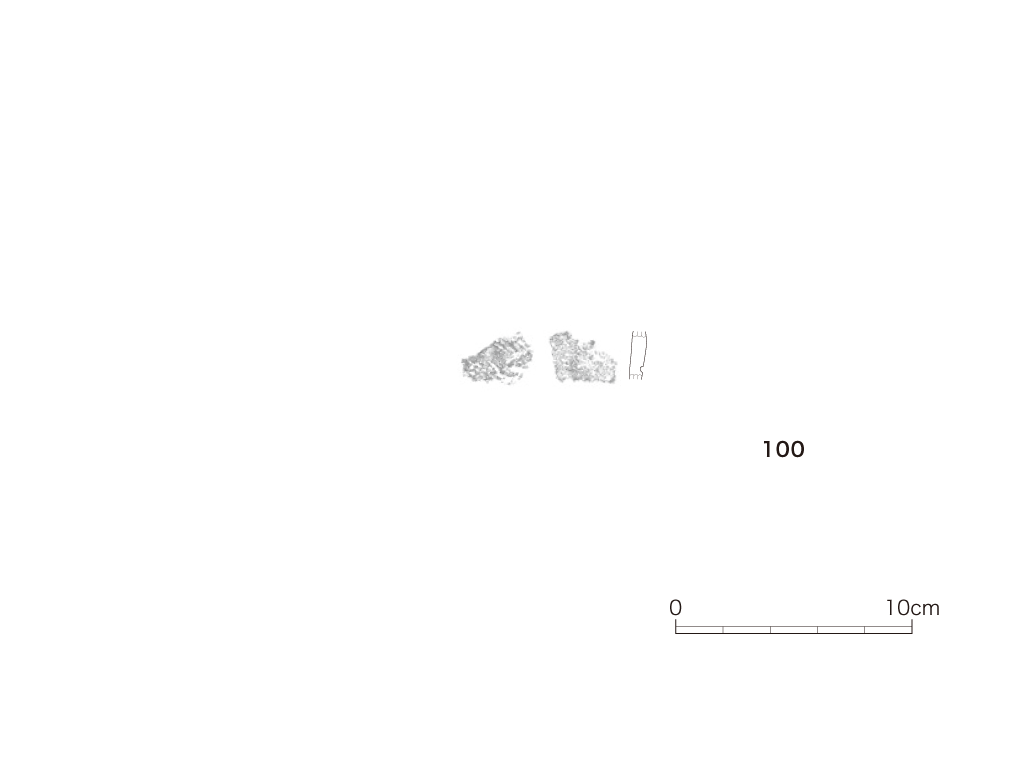 図版画像