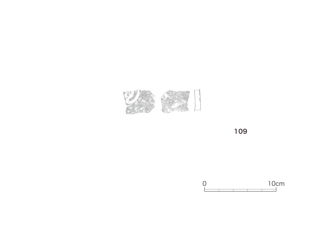 図版画像