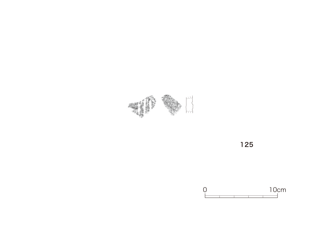 図版画像