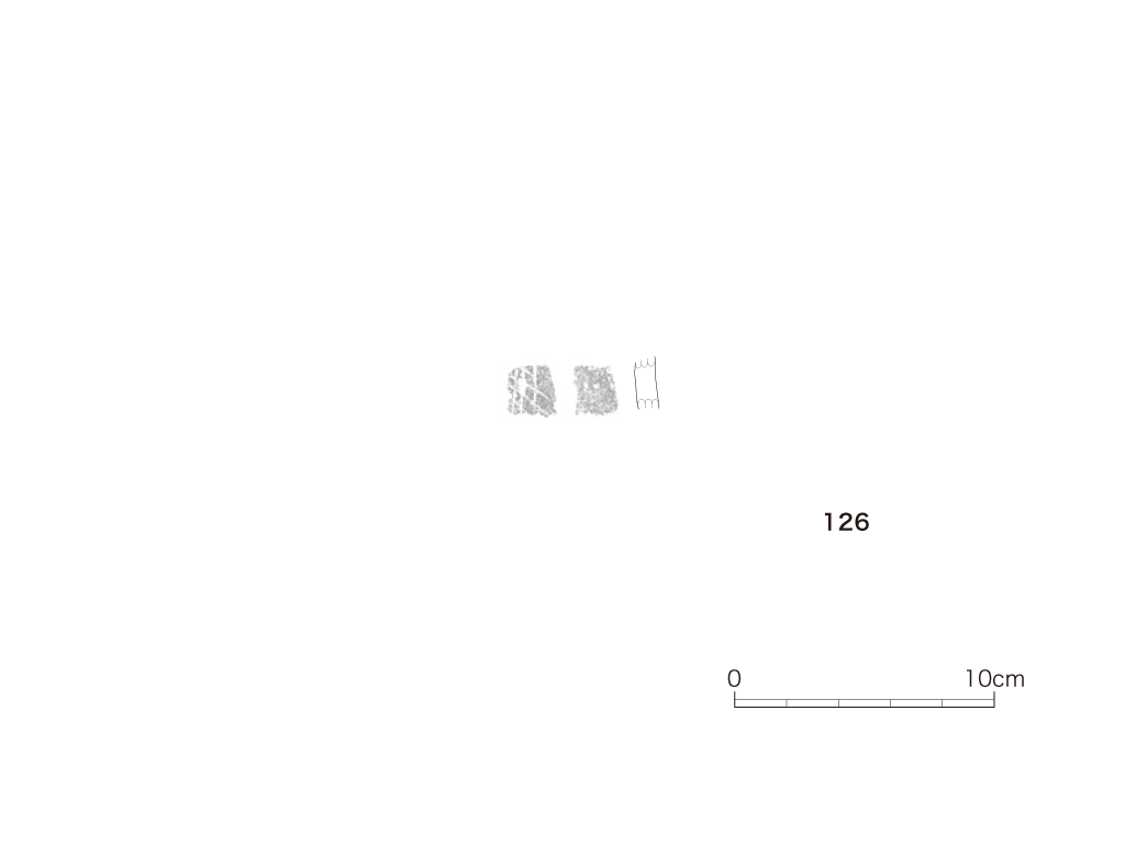 図版画像