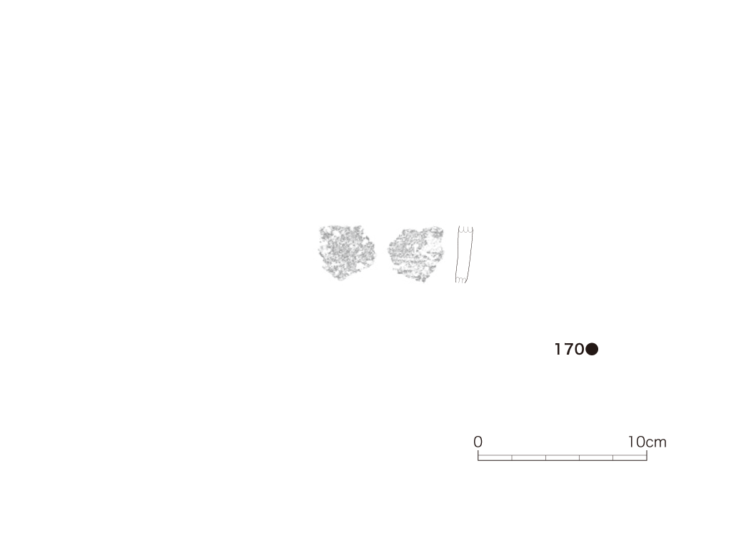図版画像