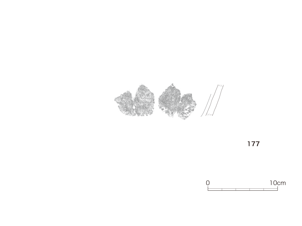 図版画像