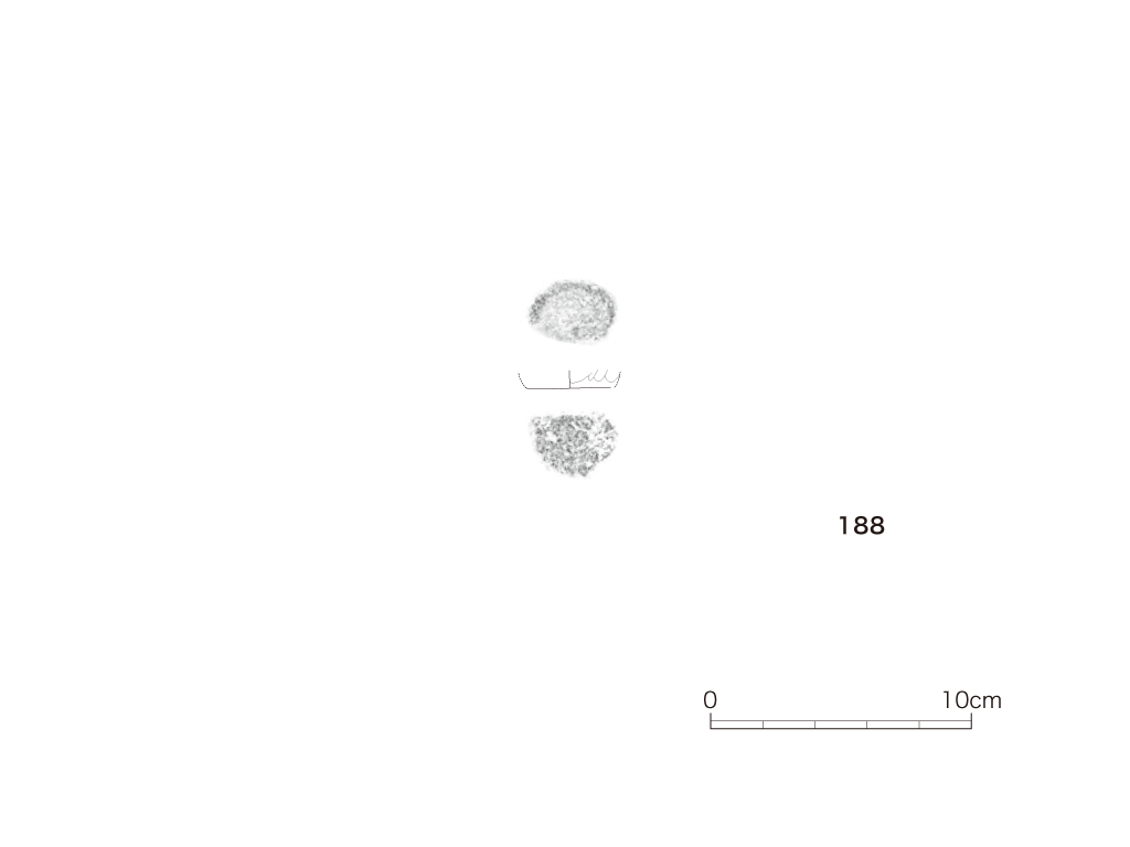 図版画像