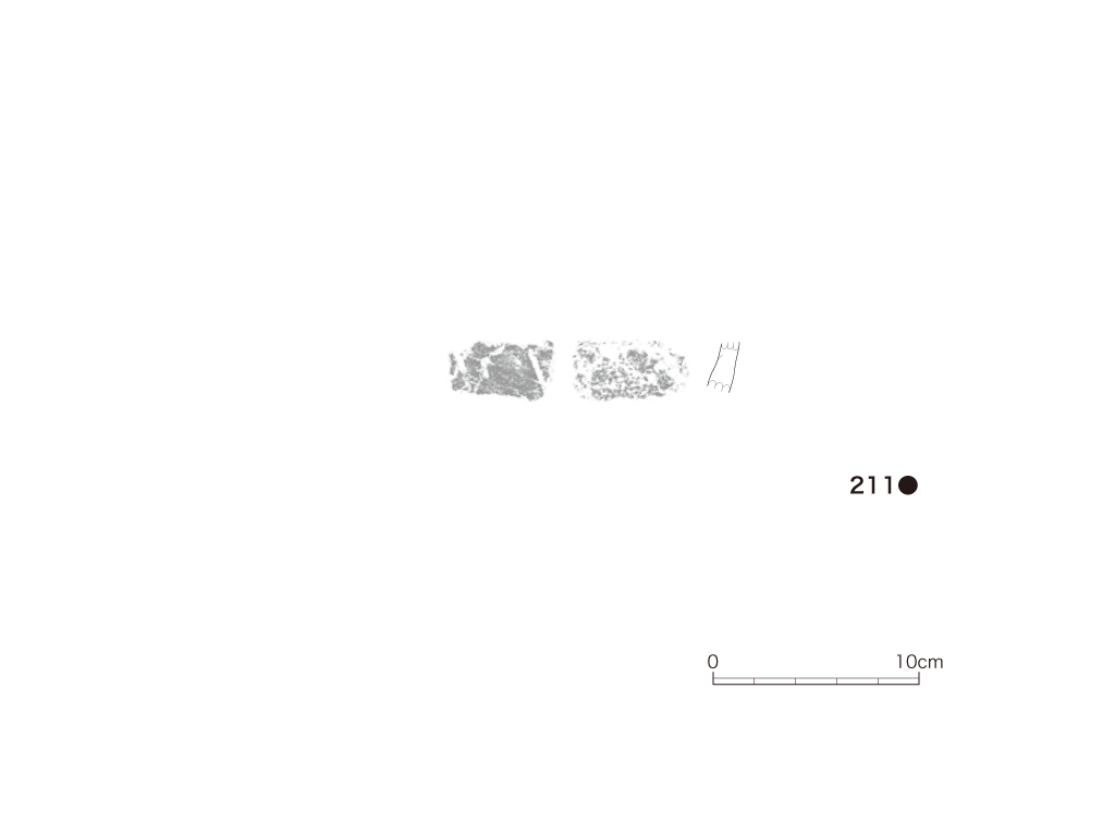 図版画像