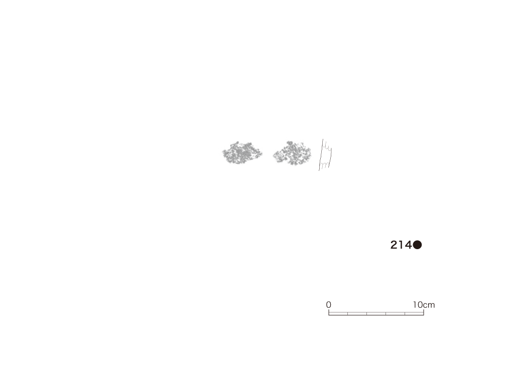 図版画像