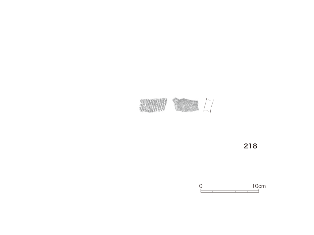 図版画像