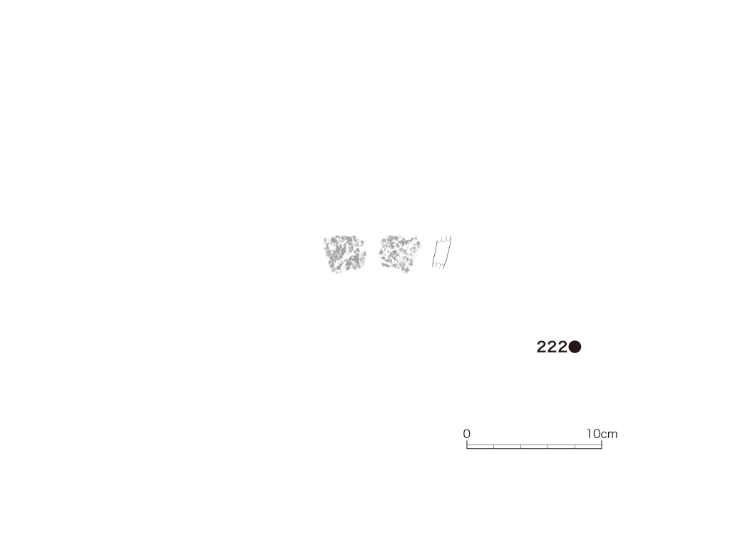 図版画像