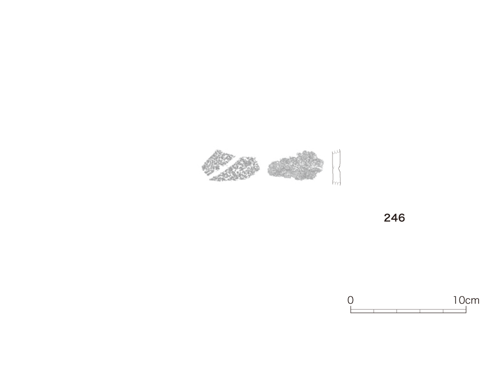 図版画像