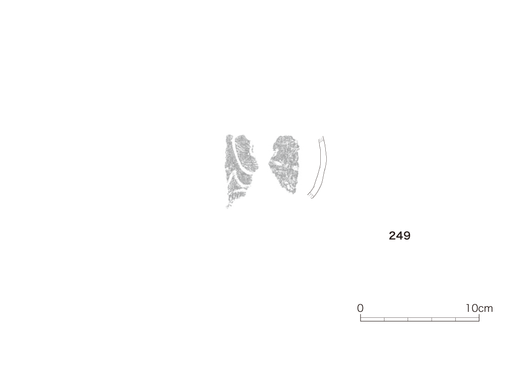 図版画像