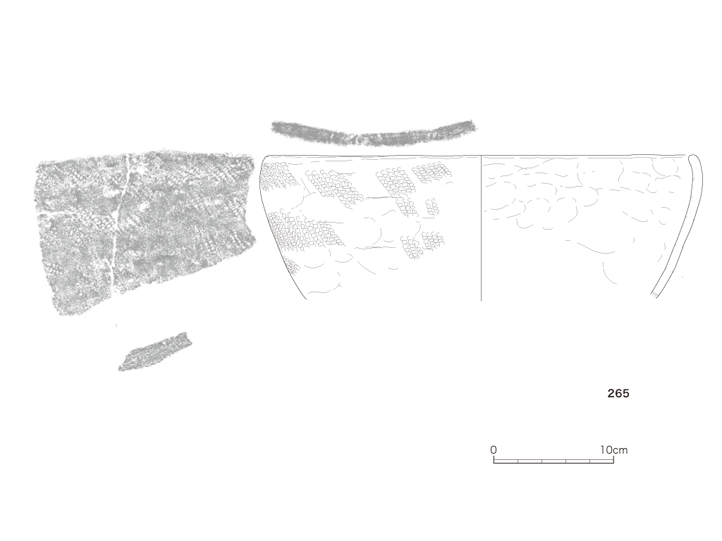 図版画像