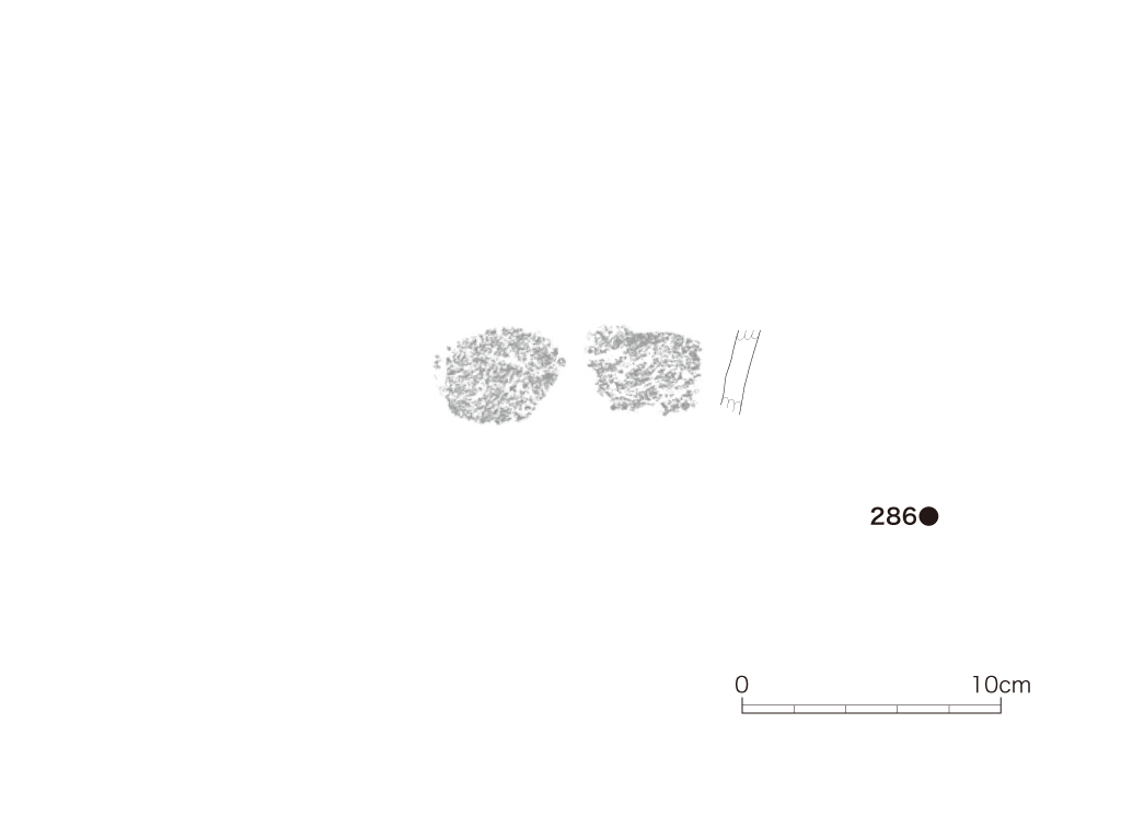 図版画像
