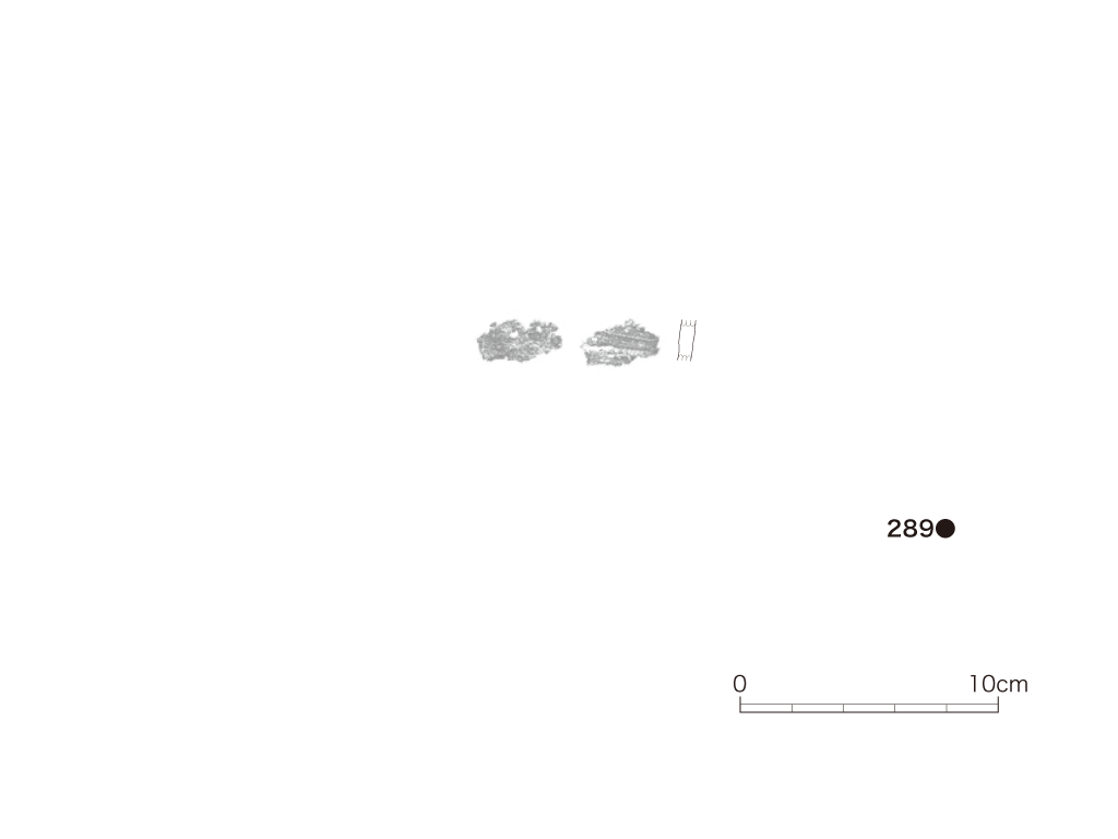 図版画像