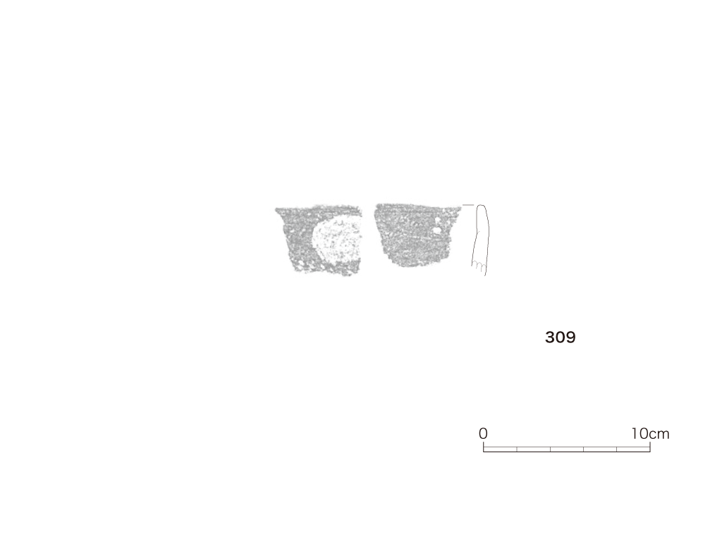 図版画像