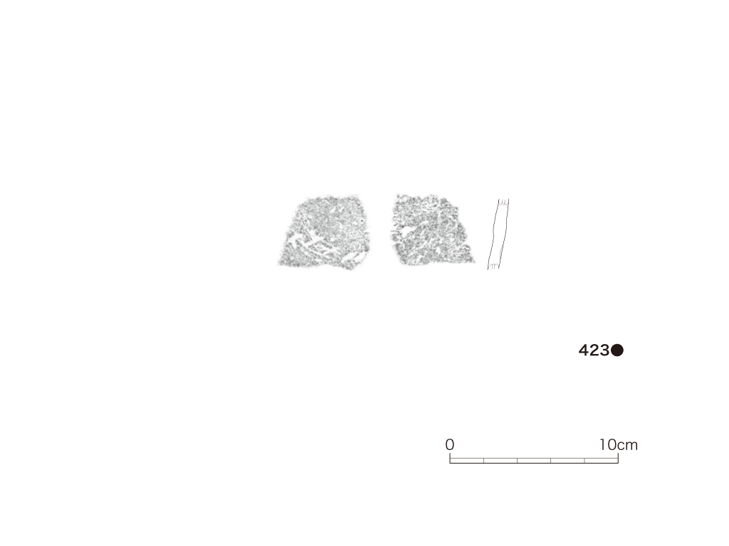 図版画像