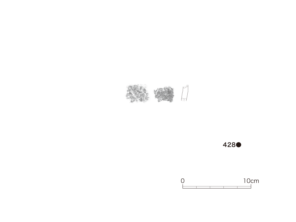 図版画像