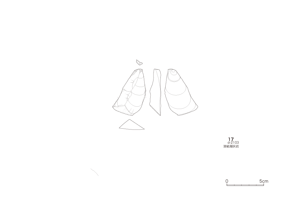 図版画像