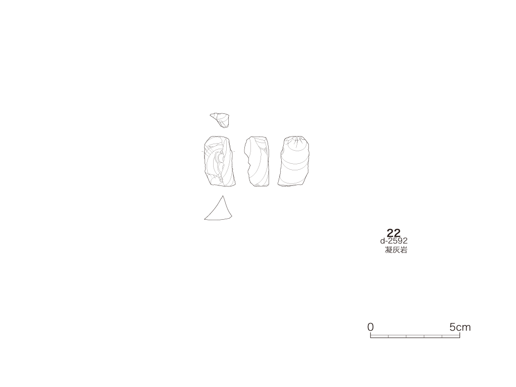 図版画像
