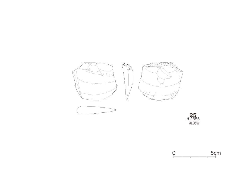 図版画像
