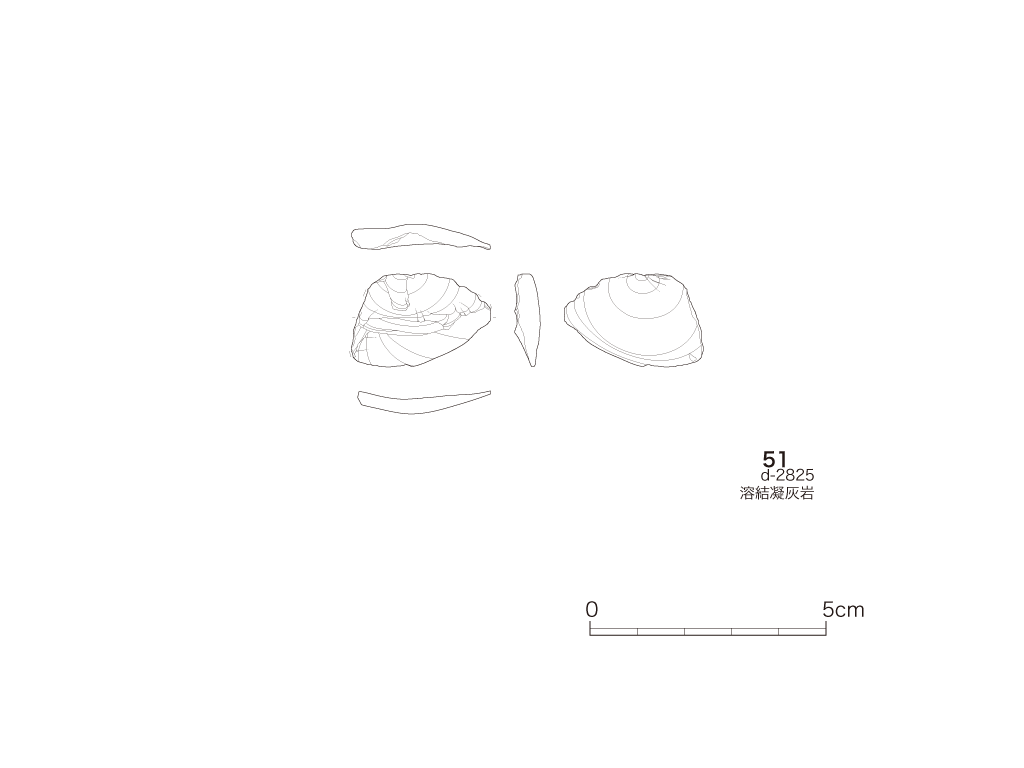図版画像