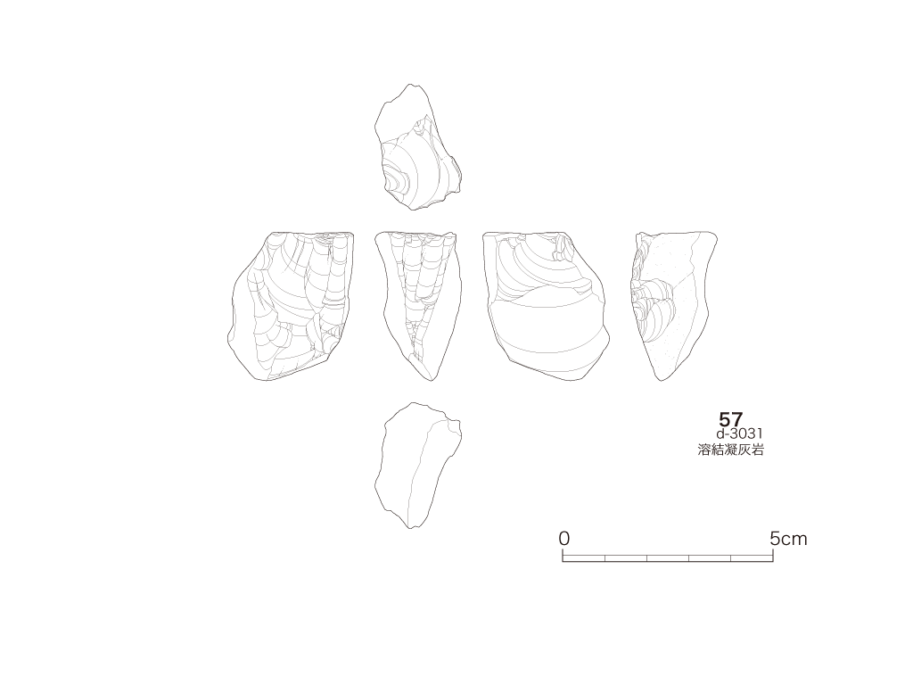 図版画像