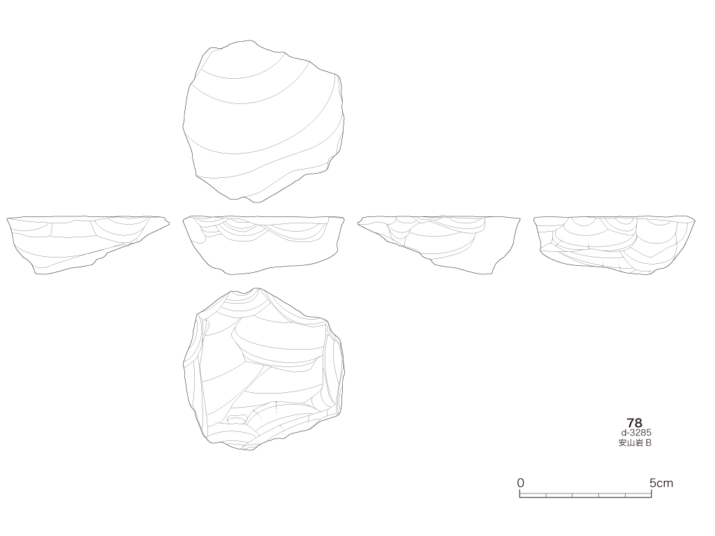 図版画像