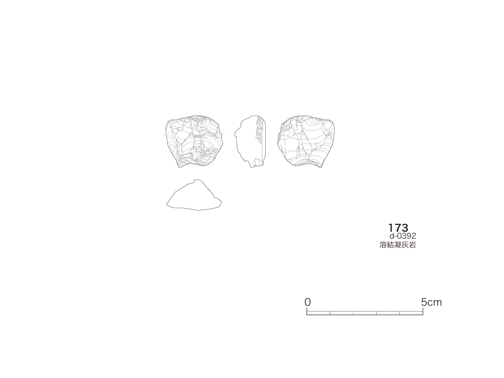 図版画像