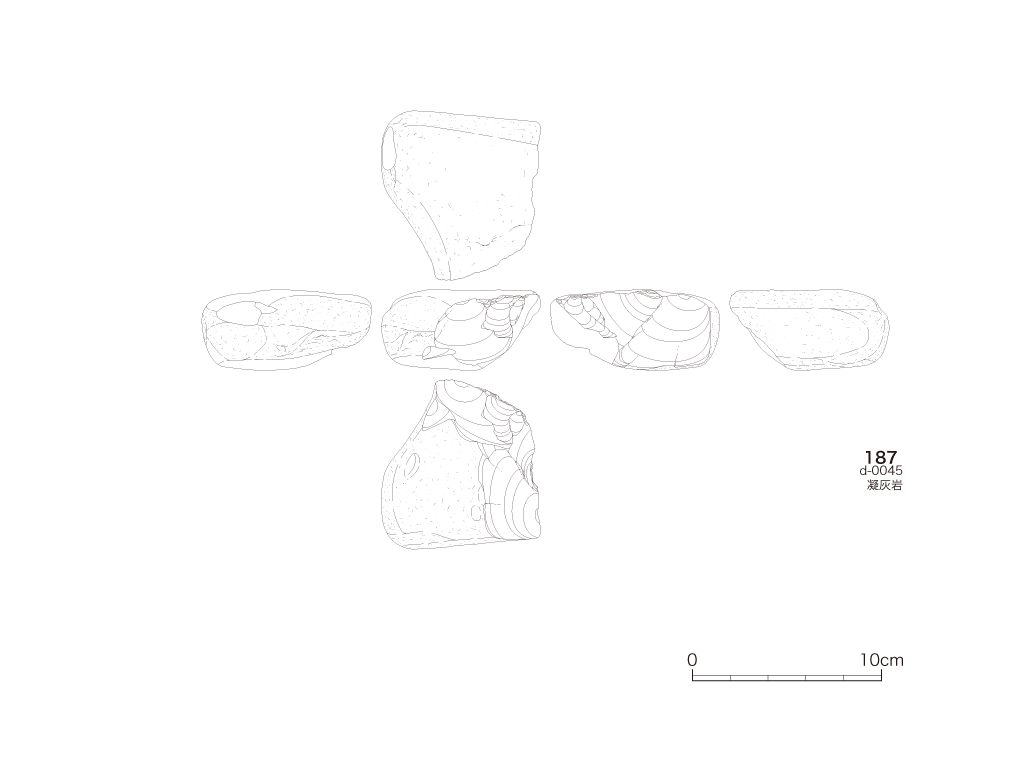 図版画像
