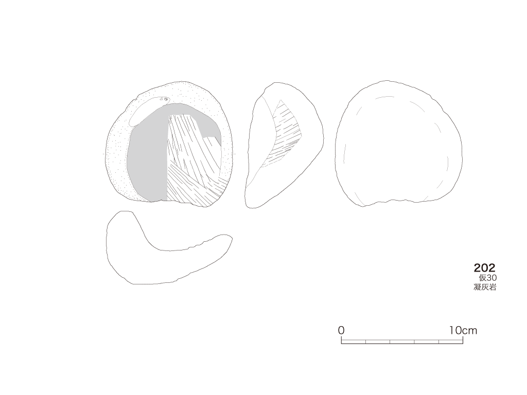 図版画像