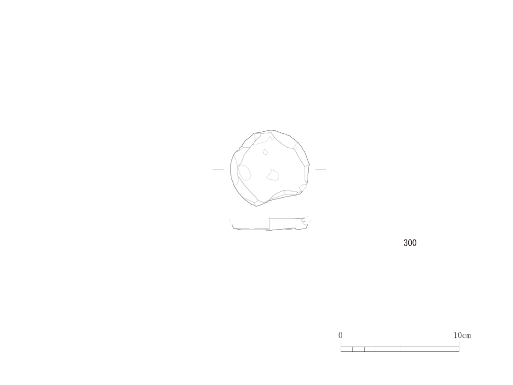 図版画像