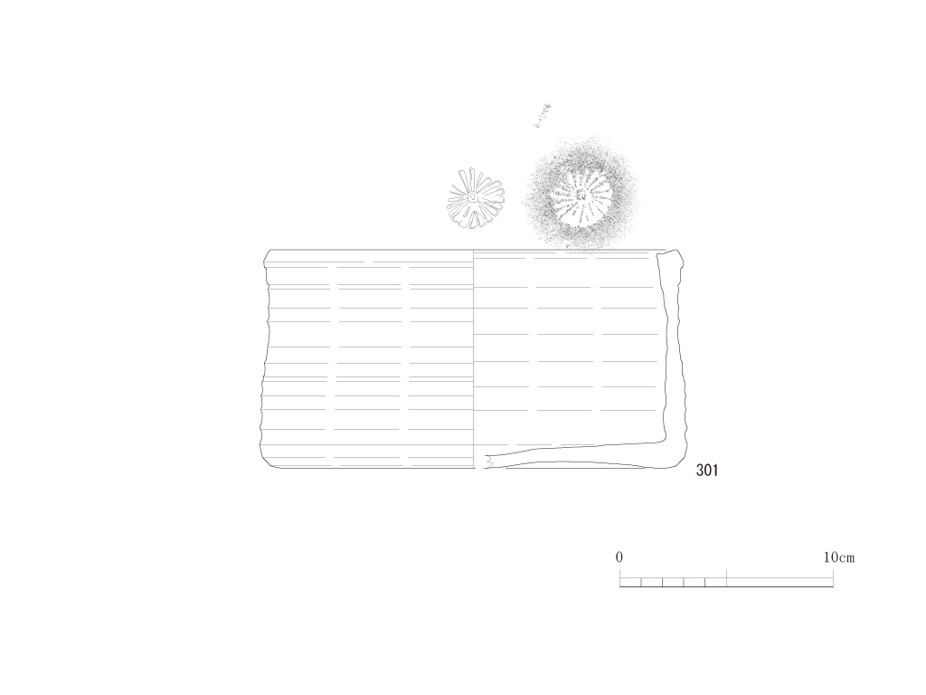 図版画像