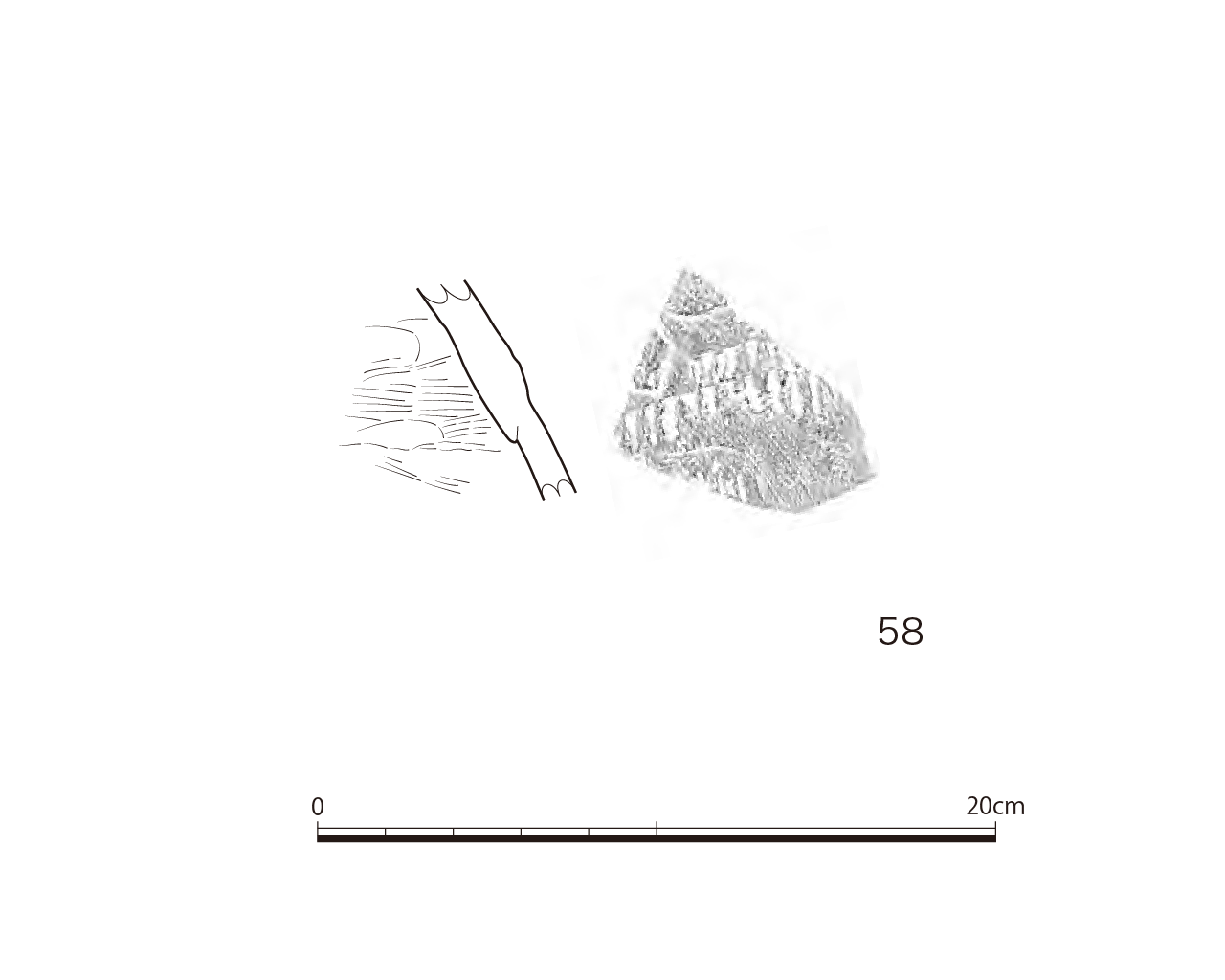 図版画像