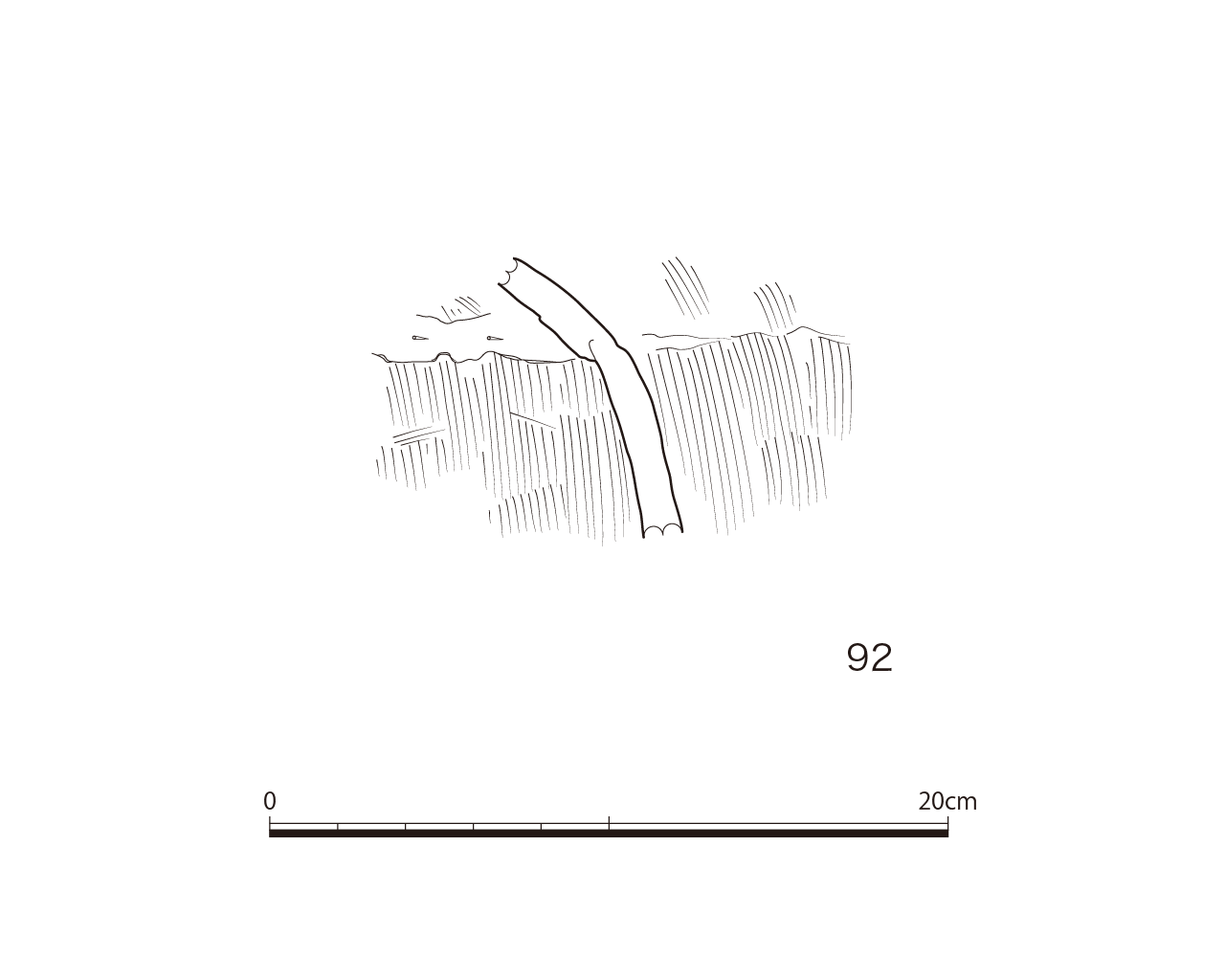 図版画像