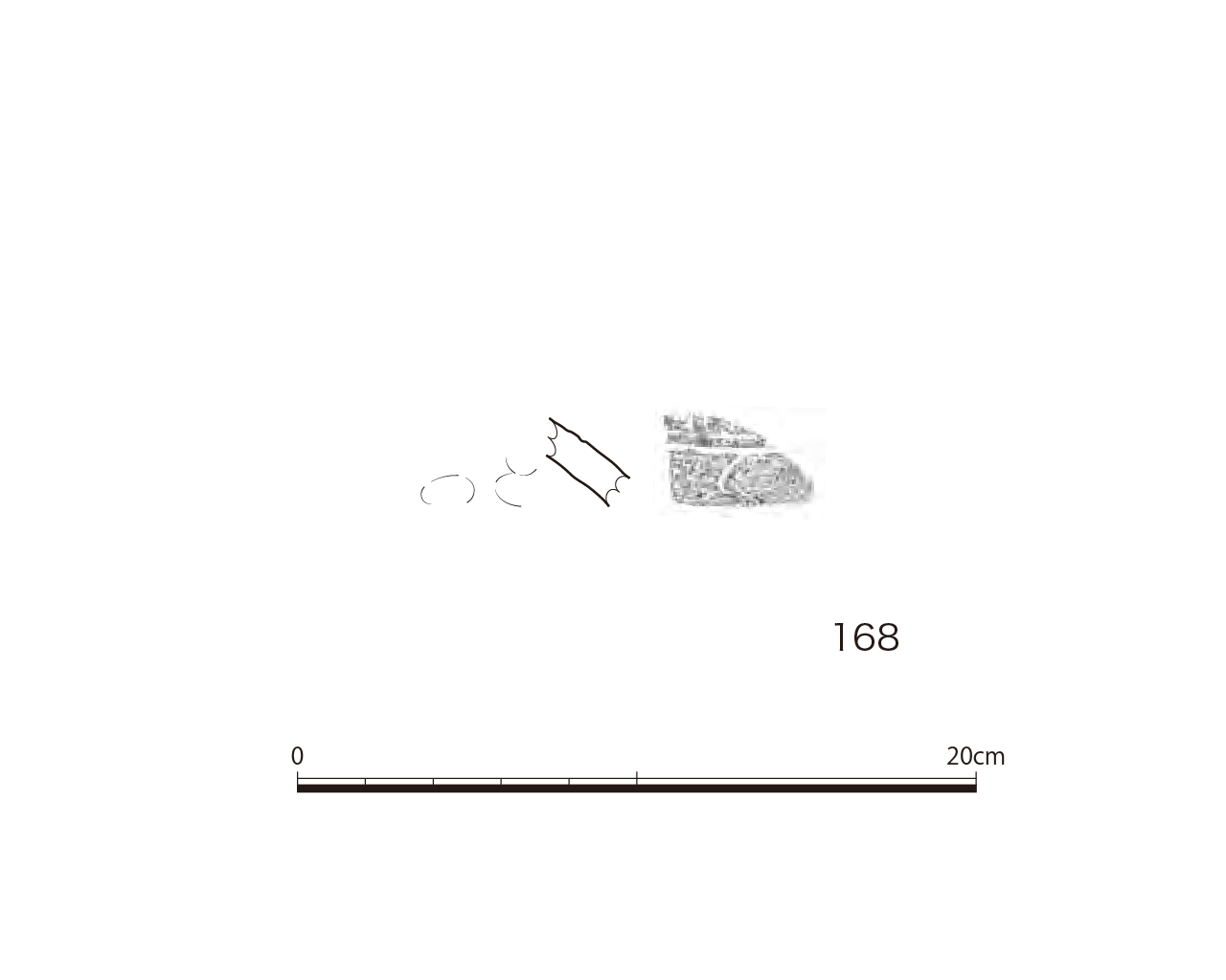 図版画像