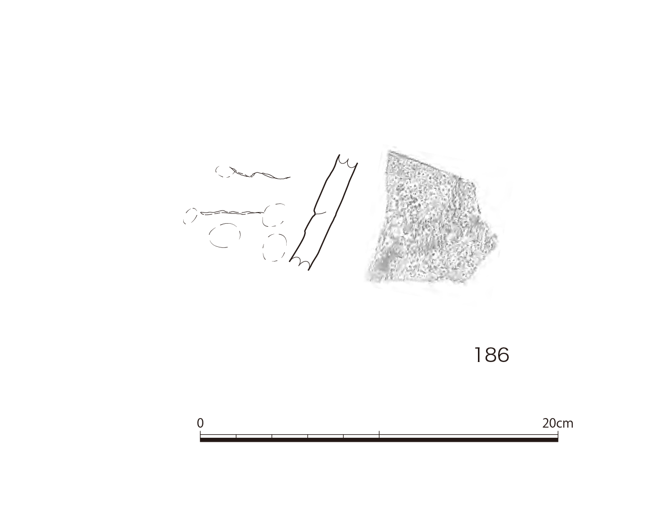 図版画像