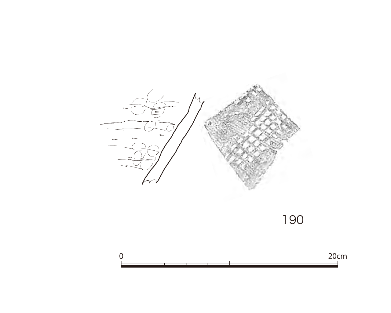 図版画像