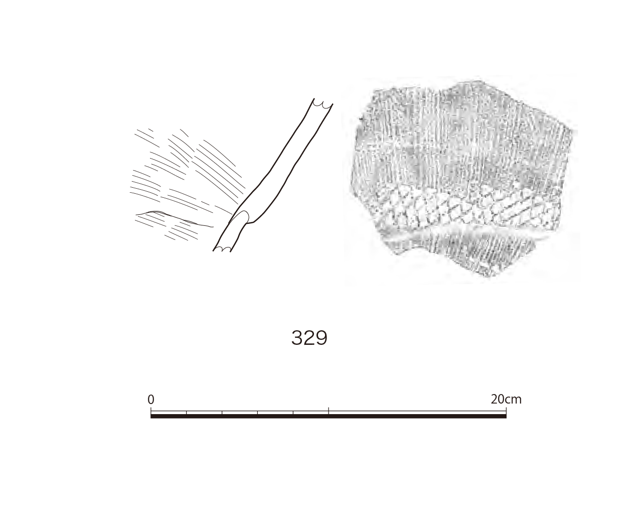図版画像