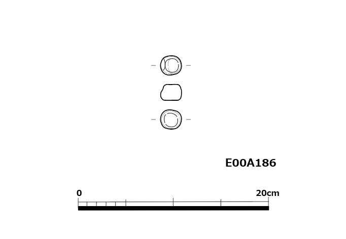 図版画像
