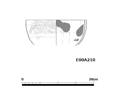 図版画像