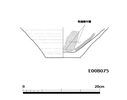 図版画像
