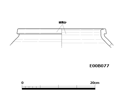 図版画像