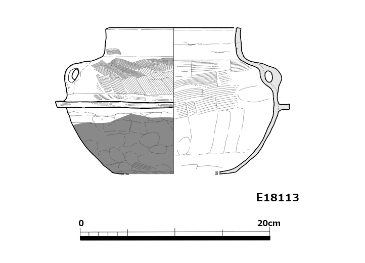 図版画像
