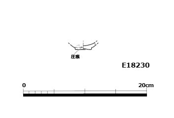 図版画像