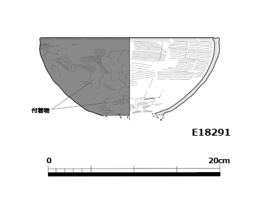 図版画像
