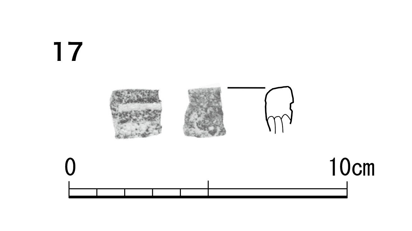 図版画像