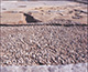 FileNo.000-007.jpg