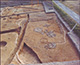 FileNo.000-008.jpg