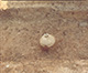 FileNo.000-021.jpg