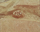 FileNo.000-025.jpg