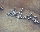 FileNo.000-027.jpg
